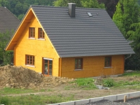 Diotrolanstrich Blockhaus